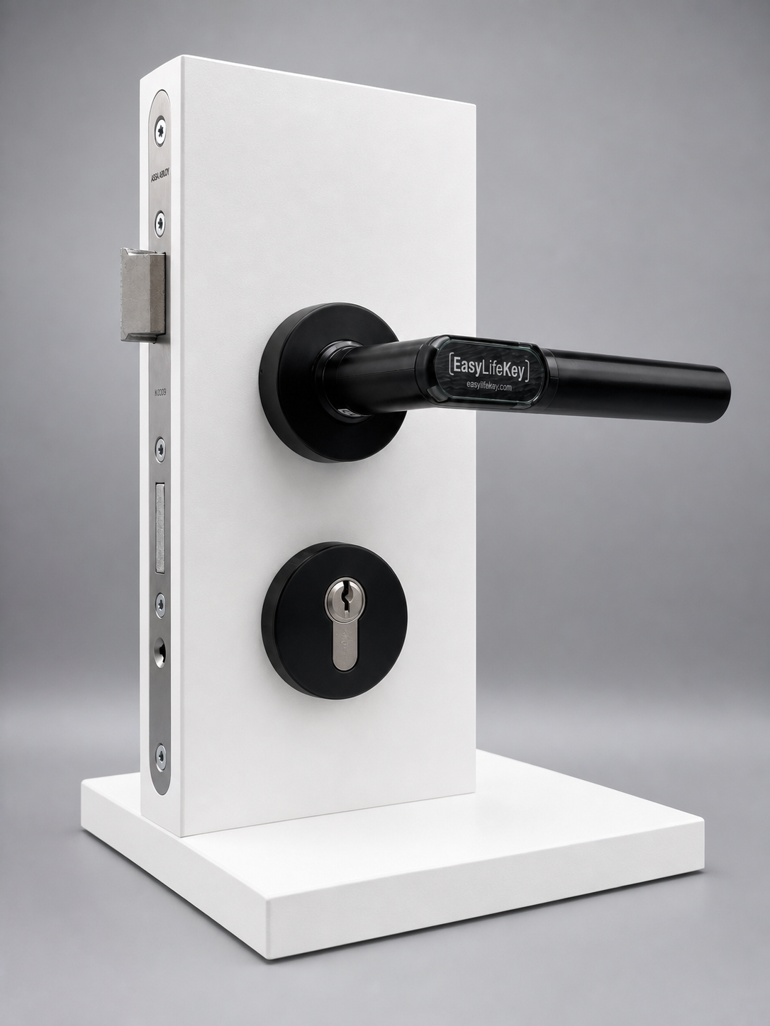 EasyLifeKey® Digitaler Türdrücker • PSD-Ausführung in Schwarz-matt • Ausführung: Rundrosette mit L-Griff